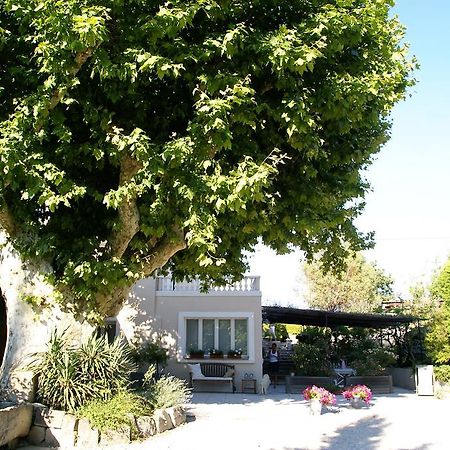 Hotel Le Vieux Platane Cairanne Exterior foto